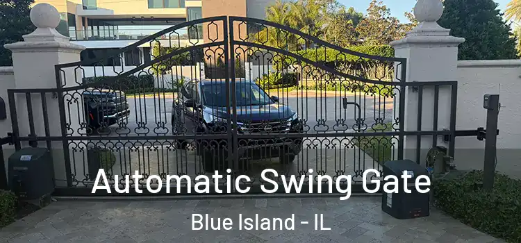  Automatic Swing Gate Blue Island - IL